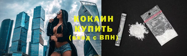 хмурый Богородицк