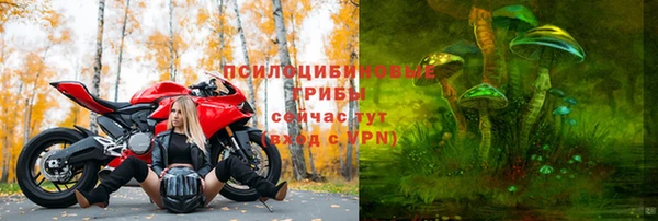 хмурый Богородицк